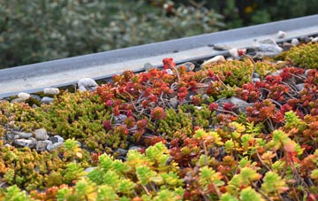 the cost of Lowerford green roof installation