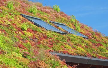 Lowerford living roof systems