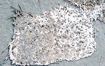 professional fibreglass roofing repairs