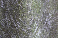 Lowerford fibreglass roof work